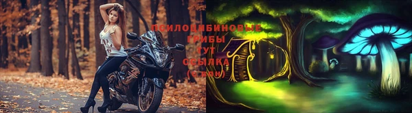 mdma Медвежьегорск