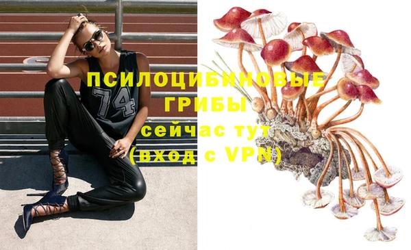 дмт Мегион