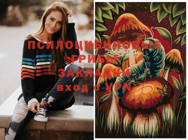 хмурый Медногорск