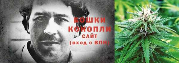 дмт Мегион