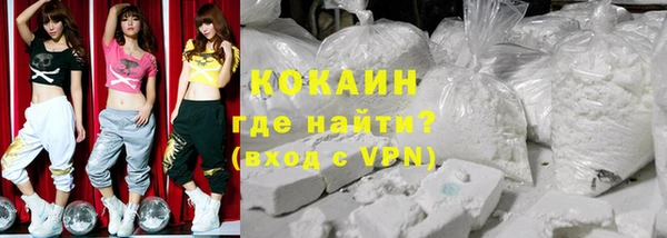 дмт Мегион